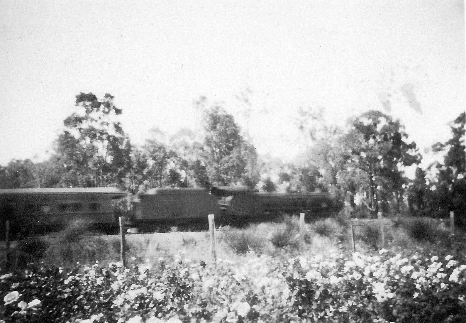 Photo of train from Bommeli's property.