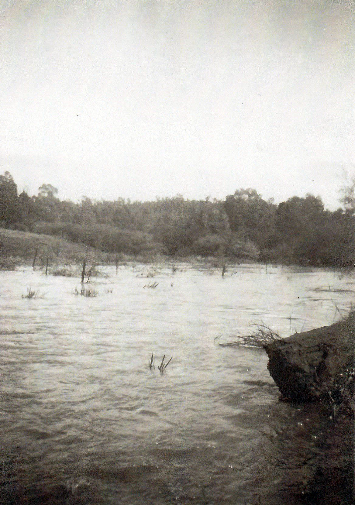 Photo of Jane Brook in flood from Bommeli's property.
